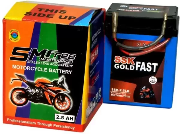 MKGOLD 1003 2.5 Ah Battery for Bike