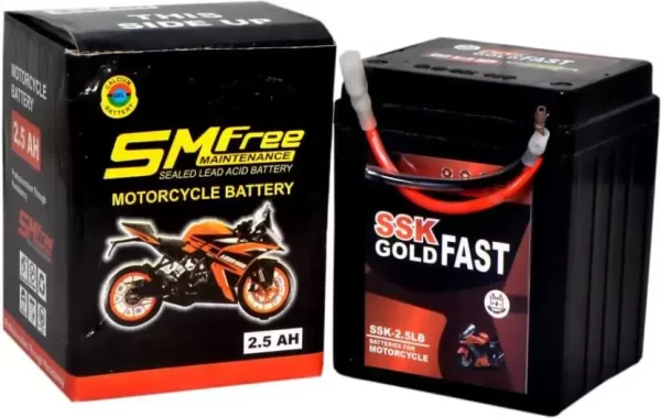 MKGOLD 1004 2.5 Ah Battery for Bike