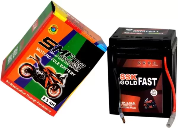 MKGOLD 1010 2.5 Ah Battery for Bike