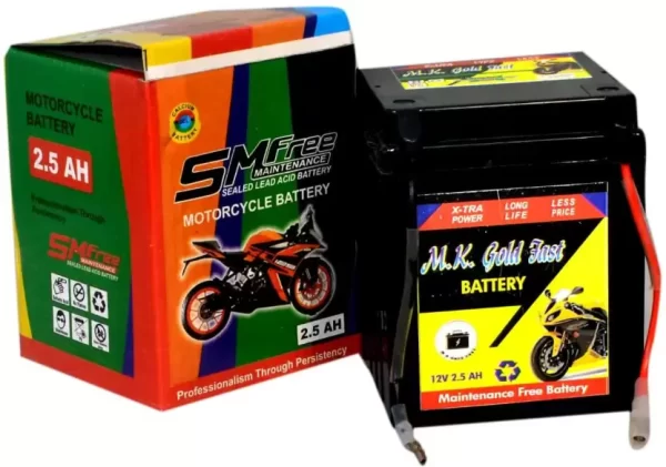 MKGOLD 1017 2.5 Ah Battery for Bike