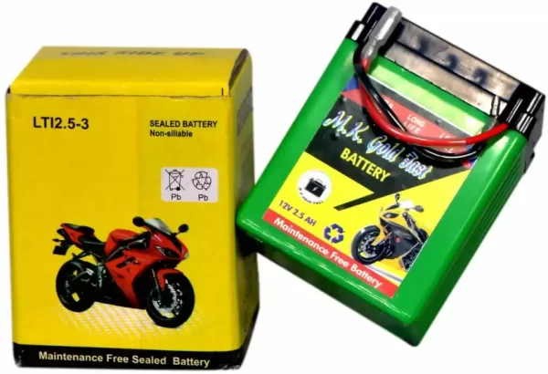 MKGOLD Mk gold fast 2.5 lb battery 2.5 Ah Battery for Bike